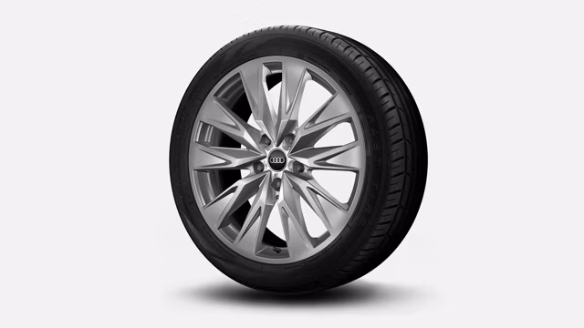 Bilde som viser 20" i 5-dobbelteikers design, platinagrå
